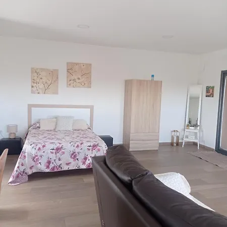 Apartamento Loft 2 Personas Con Cocina Americana Con Gran Luminosidad, Tv 42, Cama De Matrimonio Con Colchón De Buena Calidad, Dos Sofás Grandes Y Comodos , Con Baño Con Plato De Ducha,chimenea Interior Y 2terrazas De Unos 50 Metros Y Barbacoa Exterior,pre *