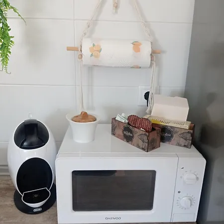 Loft 2 Personas Con Cocina Americana Con Gran Luminosidad, Tv 42, Cama De Matrimonio Con Colchón De Buena Calidad, Dos Sofás Grandes Y Comodos , Con Baño Con Plato De Ducha,chimenea Interior Y 2terrazas De Unos 50 Metros Y Barbacoa Exterior,pre